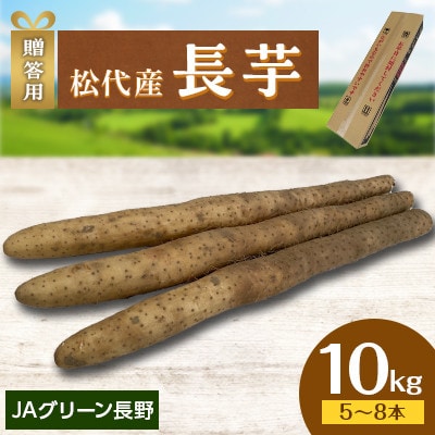 【先行受付】JAグリーン長野　松代産　長芋　10kg(5～8本)　贈答用