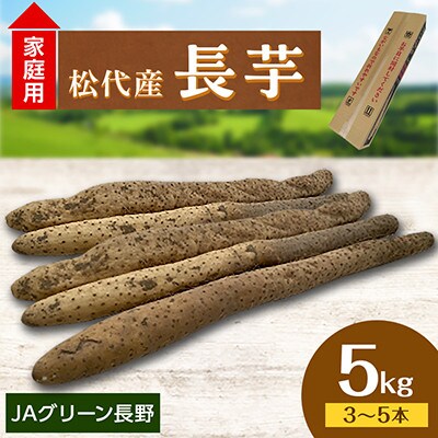 【先行受付】JAグリーン長野　松代産　長芋　5kg(3～5本)　家庭用