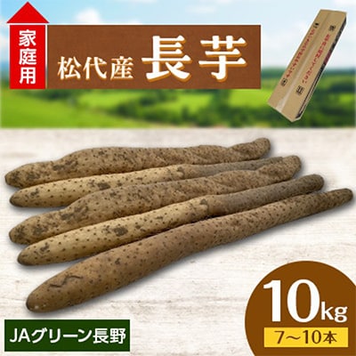 【先行受付】JAグリーン長野　松代産　長芋　10kg(7～10本)　家庭用