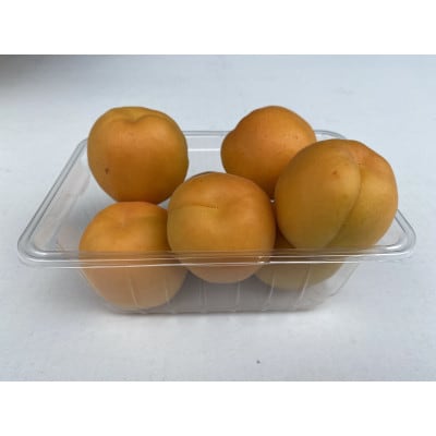 【先行受付】JAグリーン長野　あんず　500g×4パック