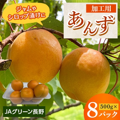【先行受付】JAグリーン長野　あんず　加工用　500g×8パック