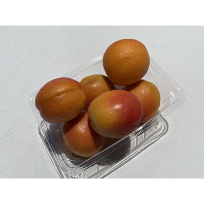 【先行受付】JAグリーン長野　あんず　生食用品種　ハーコット　500g×8パック