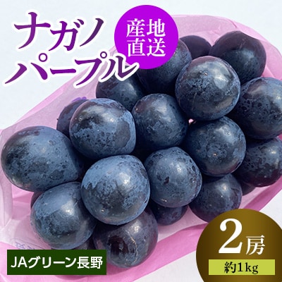 【先行受付】JAグリーン長野　ナガノパープル　2房(約1kg)　8月下旬より順次発送