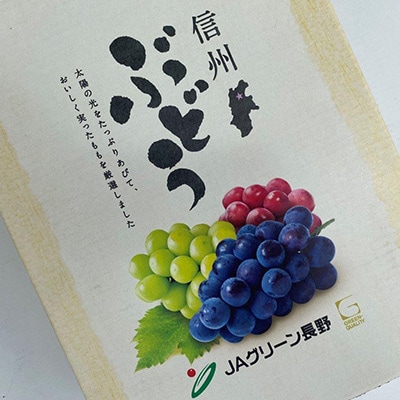 【先行受付】JAグリーン長野　ナガノパープル　2房(約1kg)　8月下旬より順次発送
