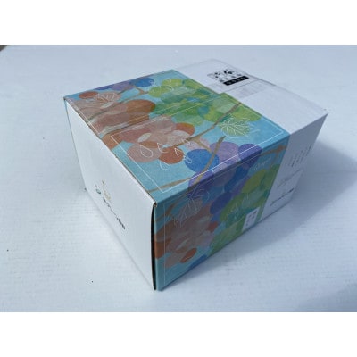 JAグリーン長野　ナガノパープル　2房(約1kg)　8月下旬より順次発送