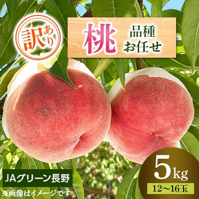 【先行受付】JAグリーン長野 桃 5kg(12～16玉) 訳あり家庭用 品種お任せ