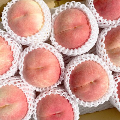 【先行受付】JAグリーン長野 桃 5kg(12～16玉) 訳あり家庭用 品種お任せ