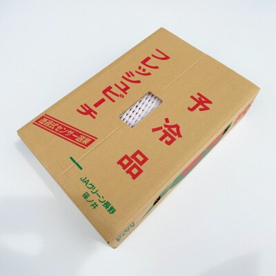 【先行受付】JAグリーン長野 桃 5kg(12～16玉) 訳あり家庭用 品種お任せ