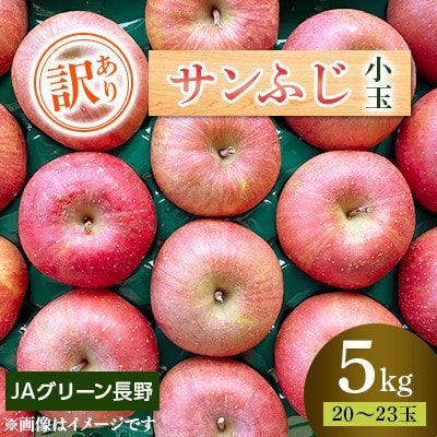 【先行受付】JAグリーン長野 サンふじ 5kg(20～23玉) 訳あり家庭用 小玉サイズ