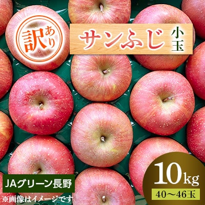 【先行受付】JAグリーン長野 サンふじ 10kg(40～46玉) 訳あり家庭用 小玉サイズ