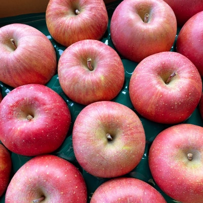 【先行受付】JAグリーン長野 サンふじ 10kg(40～46玉) 訳あり家庭用 小玉サイズ