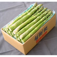 【先行受付】信州産露地アスパラ　約1kg | ふるさと納税のお礼品