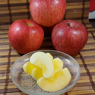 【長野市産りんご】 サンふじ 約5kg(16~22玉)【家庭用】