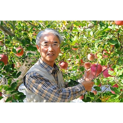 【先行受付】無袋栽培の信州産サンふじ5kg(贈呈用)
