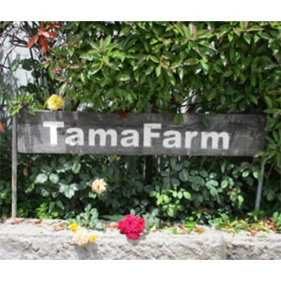 【9月中旬より順次発送】クイーンルージュ(特秀) 2房