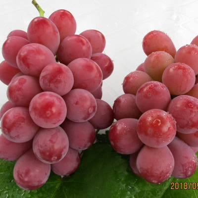 �y9�����{��菇�������z�N�C�[���j�[�i(���G)  2�[