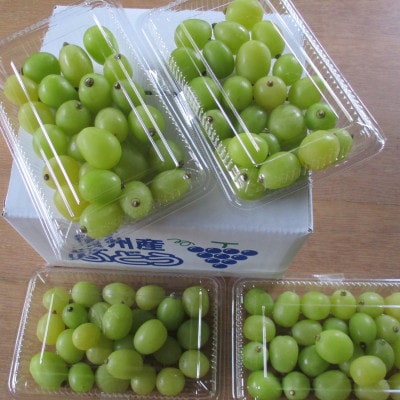 粒シャインマスカット【300g×4パック】計1.2kg