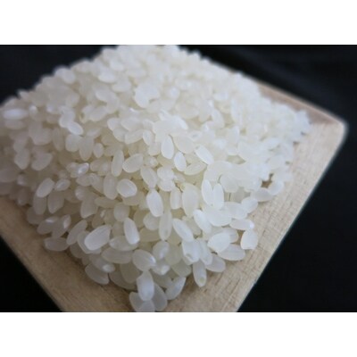 くりのみ園の白米2kg×2