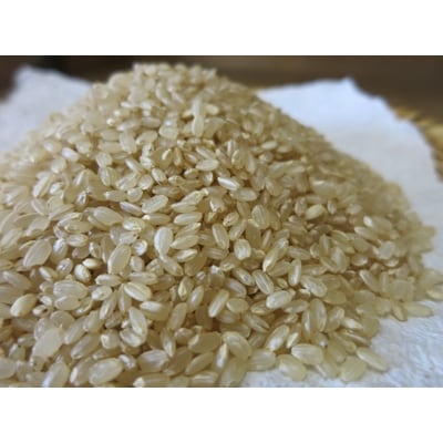 くりのみ園の玄米2kg×2