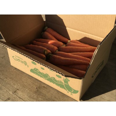 【栽培期間中農薬・化学肥料不使用】にんじん5kg