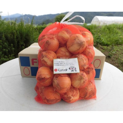 くりのみの有機玉ねぎ5kg