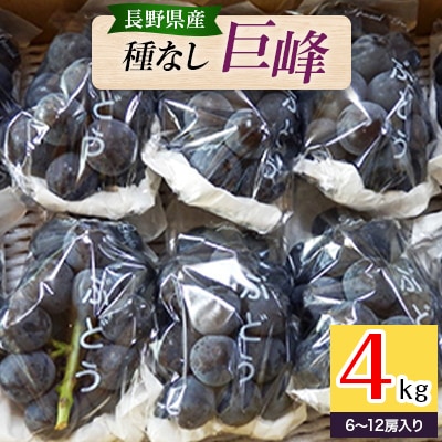 長野県長野市産種なし巨峰4kg(6～12房入り)