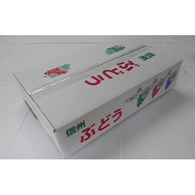 長野県長野市産種なし巨峰4kg(6～12房入り)