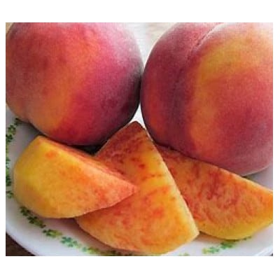 長野市産　旬の桃ワッサー2kg(6～9玉入り)