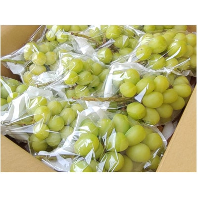 長野県長野市産シャインマスカット450g×9袋入り