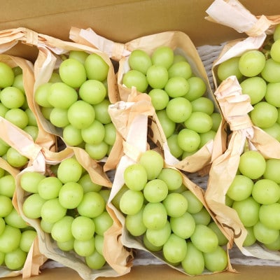 長野県長野市産シャインマスカット450g×9袋入り