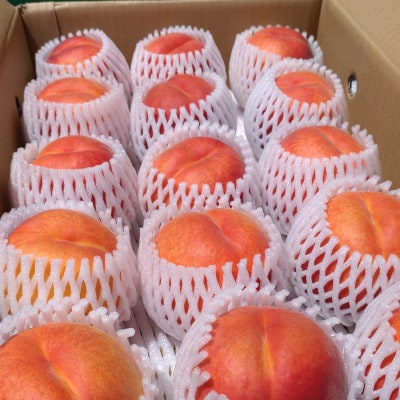 長野市産　旬の桃ワッサー5kg(14～23玉入り)