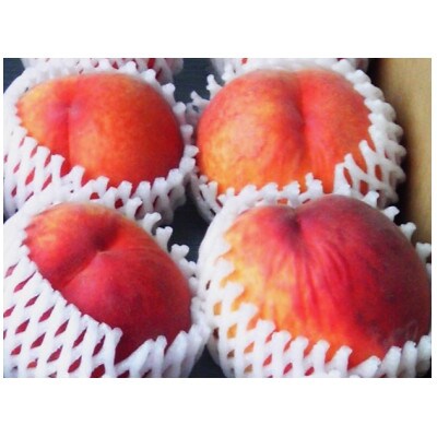 長野市産　旬の桃ワッサー5kg(14～23玉入り)