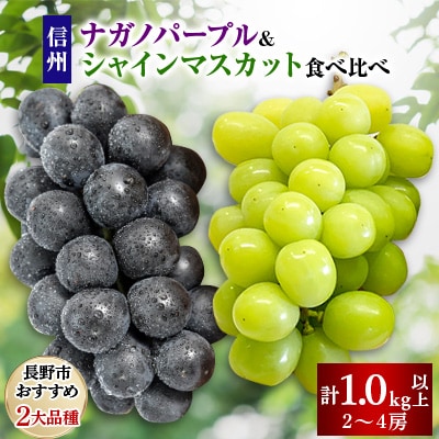 【2025年先行受付】ナガノパープル&シャインマスカット食べ比べセット(計1.0kg以上)