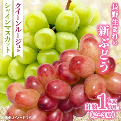 クイーンルージュ(R)&シャインマスカット1kg以上(2～3房入り)