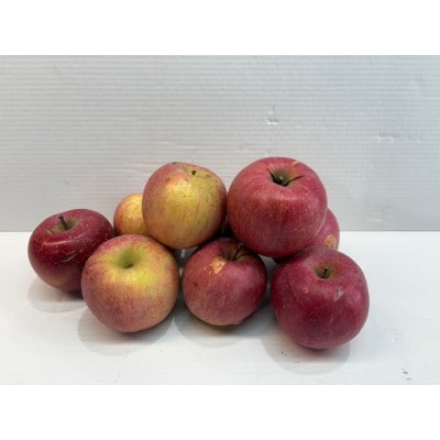 【訳ありサンふじ】です。農家を応援したい思いをお礼品に込めました!約5kg(12玉～20玉)ご家庭用