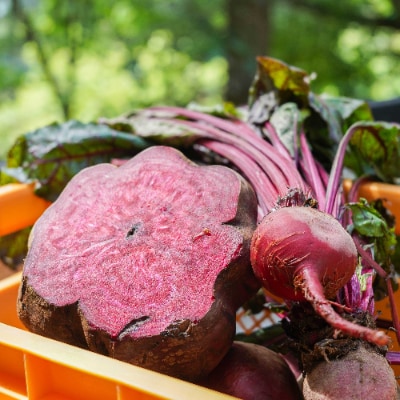 【産地直送新鮮野菜】長野県産　信州盛りだくさん野菜セット(1)