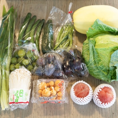 【産地直送新鮮野菜】長野県産　信州盛りだくさん野菜セット(2)