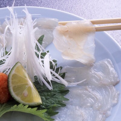 【玄品 善光寺口】とらふぐ料理 玄品「天楽コース」お食事券(1名様分)