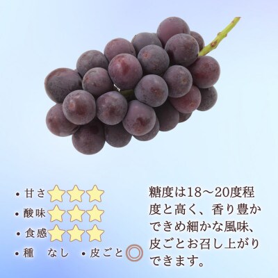 【信州長野県産】※2025年先行受付※[訳あり]種無し巨峰1.0～1.2kg 9月より発送開始