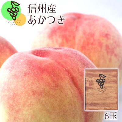 【2023年先行受付】【信州長野県産】あかつき6玉 ギフトボックス