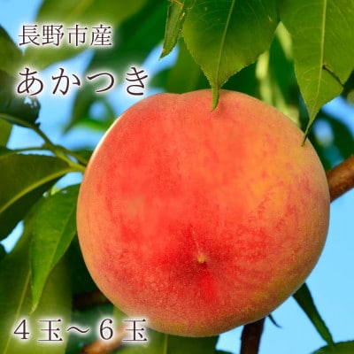 【長野市産】※2025年先行受付※ あかつき4～6玉 ギフトボックス