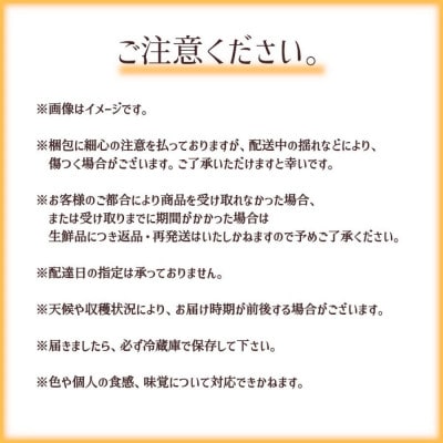 【長野市産】※2025年先行受付※ あかつき4～6玉 ギフトボックス