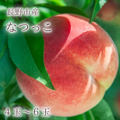【長野市産】※2025年先行受付※ なつっこ4～6玉 ギフトボックス