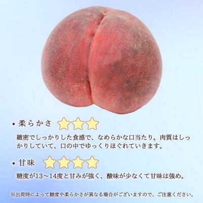 【長野市産】※2025年先行受付※ なつっこ4～6玉 ギフトボックス