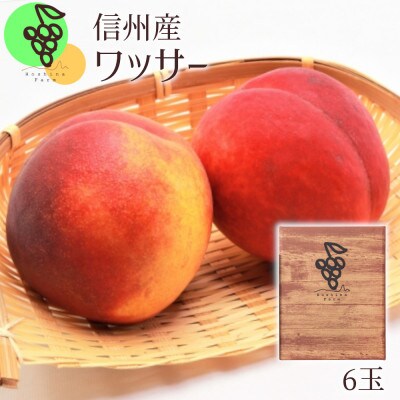 【2023年先行受付】【信州長野県産】ワッサー6玉 ギフトボックス