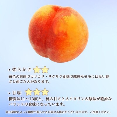 【長野市産】※2025年先行受付※ ワッサー4～6玉 ギフトボックス