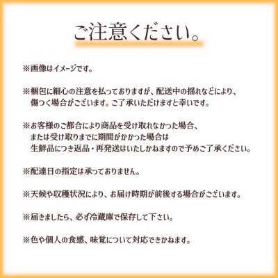 【長野市産】※2025年先行受付※ ワッサー4～6玉 ギフトボックス