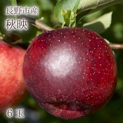 【信州長野県産】※2025年先行受付※ 秋映6玉 ギフトボックス