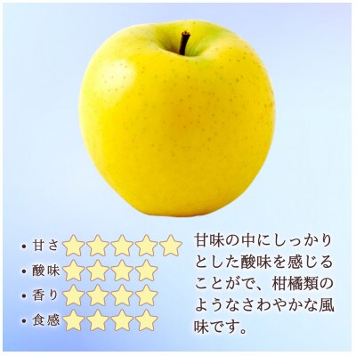 【信州長野県産】※2025年先行受付※ シナノゴールド6玉 ギフトボックス