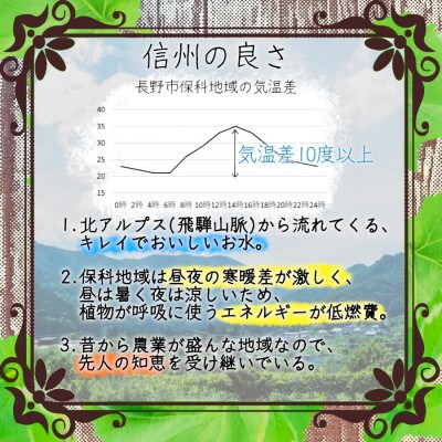 【信州長野県産】※2025年先行受付※ シナノゴールド6玉 ギフトボックス